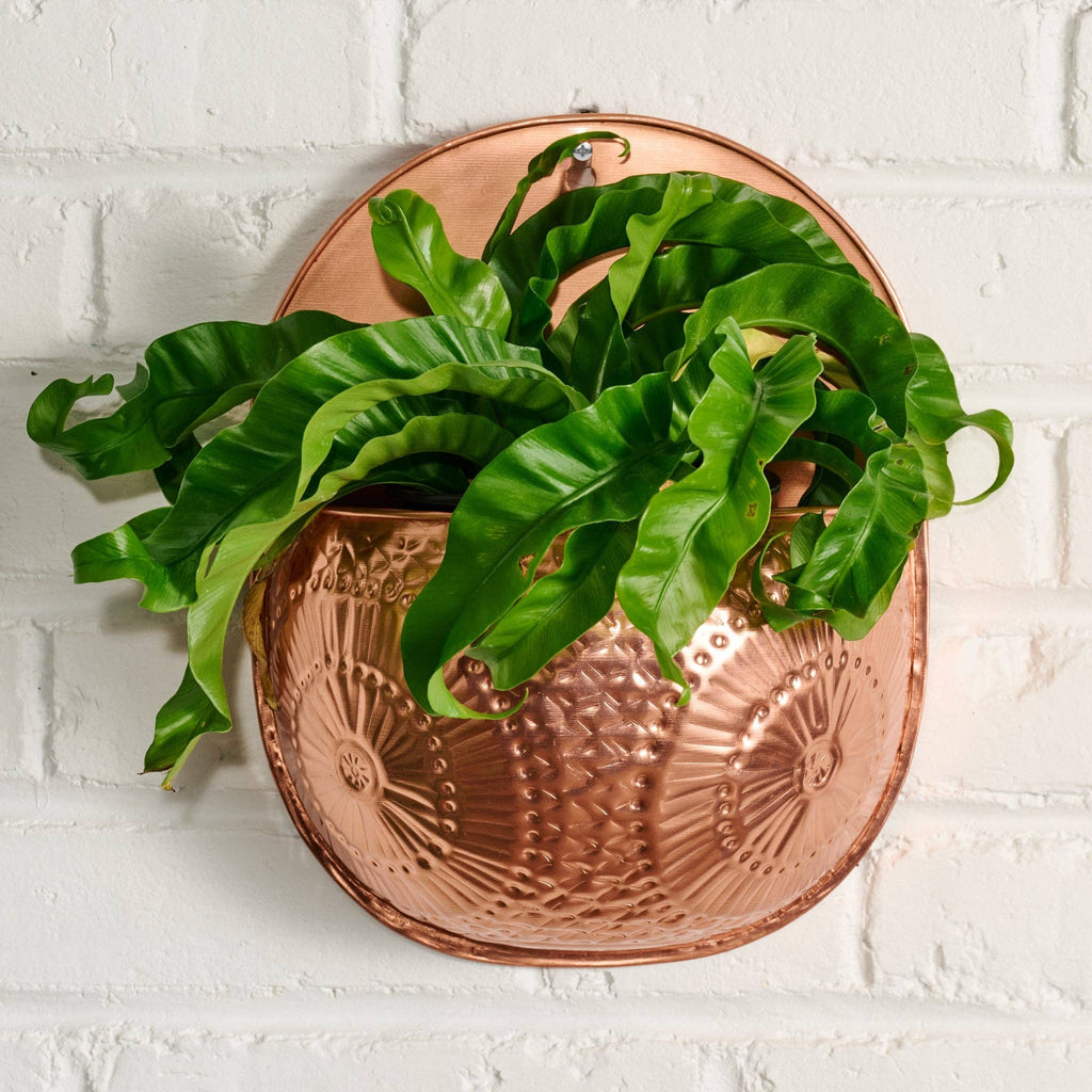 Ten Thousand Villages - Dekhava Embossed Wall Planter